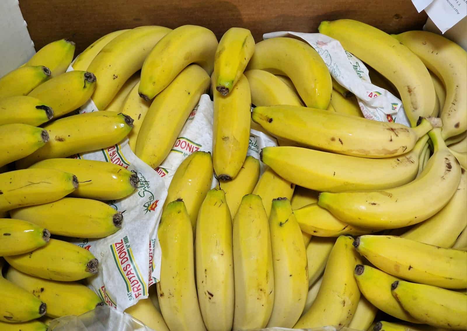 Banan Kanaryjski. Czym się różni oraz gdzie kupić banany z Wysp Kanaryjskich?