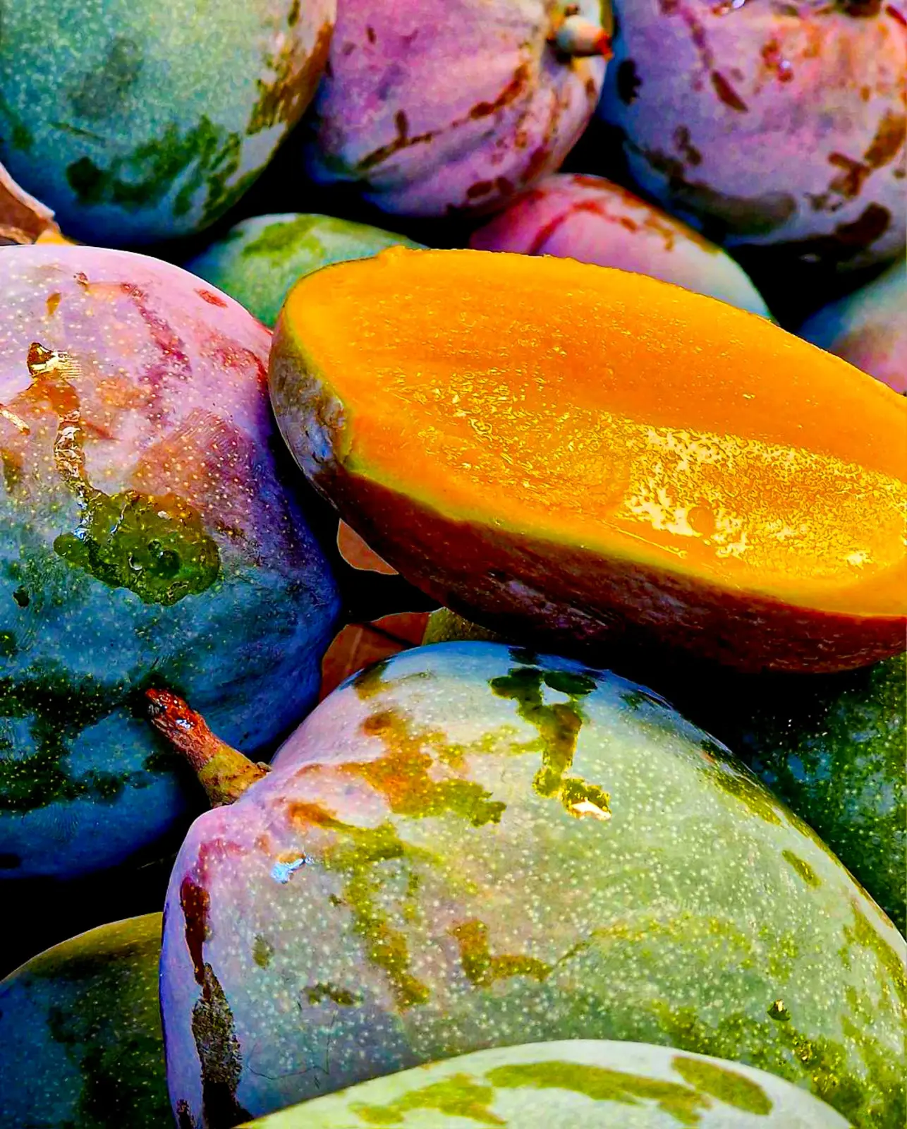 Mango - właściwości zdrowotne oraz wartości odżywcze