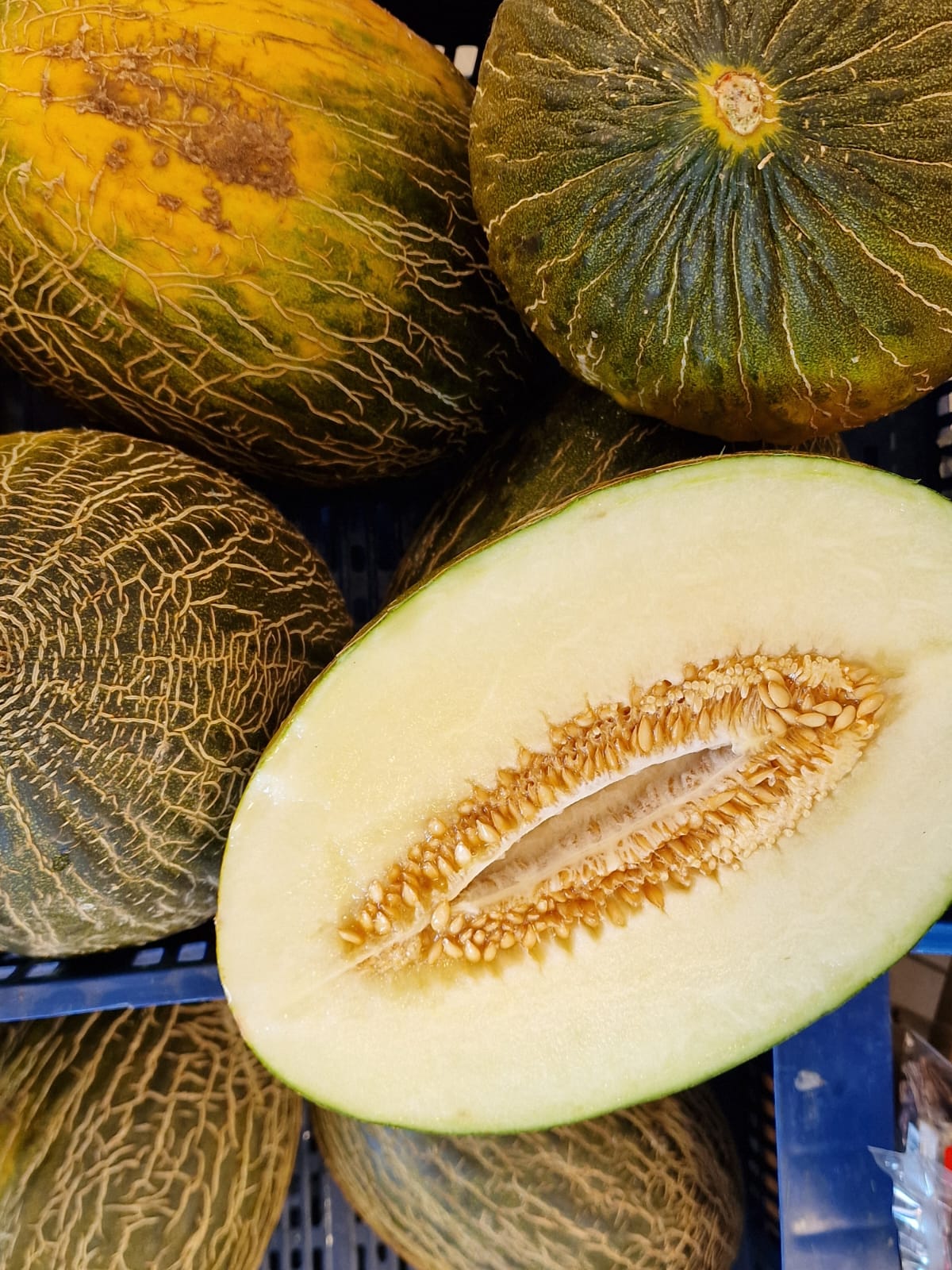 Melon - historia, właściwośći i wartości odżywcze